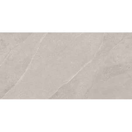 Mexen Aryan Silver gres szkliwiony rekt. G1, płytka podłogowo-ścienna 120 x 60 cm, mat - TL310-120-060-05