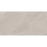 Mexen Aryan Silver gres szkliwiony rekt. G1, płytka podłogowo-ścienna 120 x 60 cm, mat - TL310-120-060-05