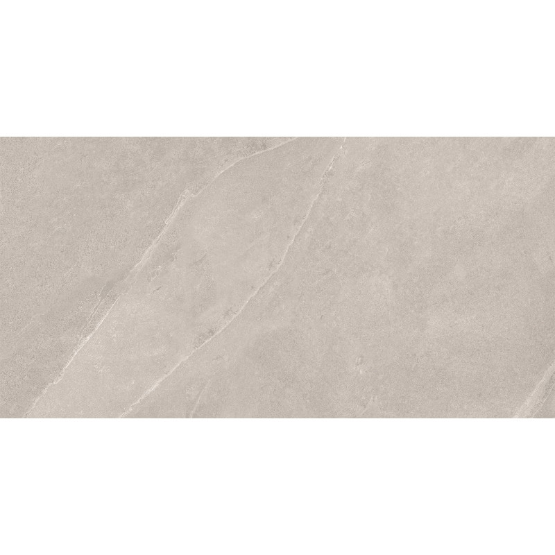 Mexen Aryan Silver gres szkliwiony rekt. G1, płytka podłogowo-ścienna 120 x 60 cm, mat - TL310-120-060-05