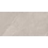 Mexen Aryan Silver gres szkliwiony rekt. G1, płytka podłogowo-ścienna 120 x 60 cm, mat - TL310-120-060-05