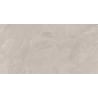 Mexen Aryan Silver gres szkliwiony rekt. G1, płytka podłogowo-ścienna 120 x 60 cm, mat - TL310-120-060-05