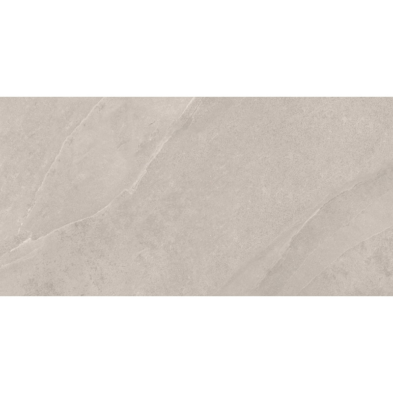Mexen Aryan Silver gres szkliwiony rekt. G1, płytka podłogowo-ścienna 120 x 60 cm, mat - TL310-120-060-05