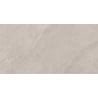 Mexen Aryan Silver gres szkliwiony rekt. G1, płytka podłogowo-ścienna 120 x 60 cm, mat - TL310-120-060-05