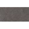 Mexen Elvas Ash gres szkliwiony rekt. G1, płytka podłogowo-ścienna 120 x 60 cm, mat - TL330-120-060-00