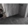 Mexen Lunar ścianka prysznicowa Walk-in prawa 160 x 200 cm, transparent 8 mm, gun gray szczotkowany - 830-160-000-66-00-P