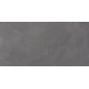 Mexen Evolution Gris gres szkliwiony rekt. G1, płytka podłogowo-ścienna 120 x 60 cm, carving - TL437-120-060-02