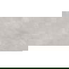 Mexen Evolution Light Grey gres szkliwiony rekt. G1, płytka podłogowo-ścienna 120 x 60 cm, carving - TL437-120-060-03