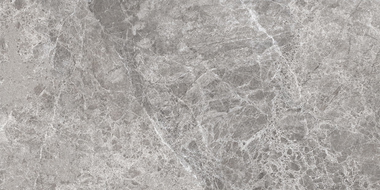 Mexen Lizard Grey gres szkliwiony rekt. G1, płytka podłogowo-ścienna 120 x 60 cm, połysk - TL109-120-060-02