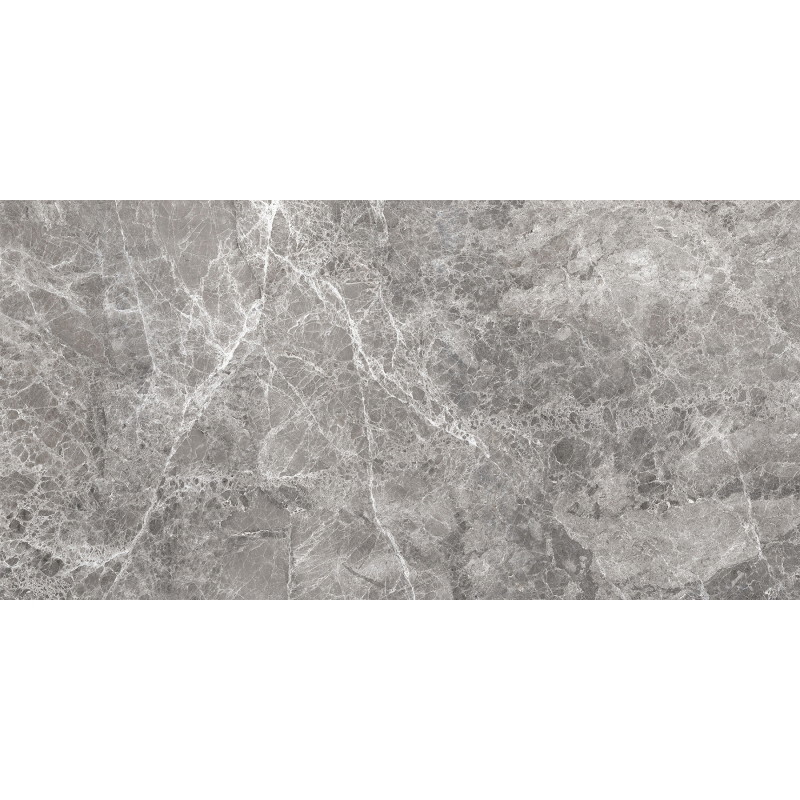 Mexen Lizard Grey gres szkliwiony rekt. G1, płytka podłogowo-ścienna 120 x 60 cm, połysk - TL109-120-060-02