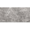 Mexen Lizard Grey gres szkliwiony rekt. G1, płytka podłogowo-ścienna 120 x 60 cm, połysk - TL109-120-060-02