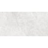 Mexen Lizard Silver gres szkliwiony rekt. G1, płytka podłogowo-ścienna 120 x 60 cm, połysk - TL109-120-060-03
