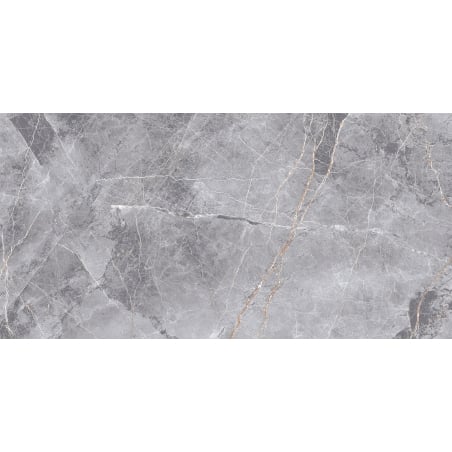 Mexen Eternity Grey gres szkliwiony rekt. G1, płytka podłogowo-ścienna 120 x 60 cm, połysk - TL112-120-060-01