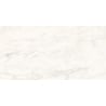 Mexen Belco Grey gres szkliwiony rekt. G1, płytka podłogowo-ścienna 120 x 60 cm, połysk - TL114-120-060-00