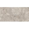 Mexen Artistic Gris gres szkliwiony rekt. G1, płytka podłogowo-ścienna 120 x 60 cm, połysk - TL121-120-060-00
