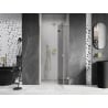 Mexen Lunar drzwi prysznicowe uchylne prawe 120 cm, transparent, złote - 834-120-000-50-00-P