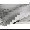 Mexen Lunar drzwi prysznicowe uchylne prawe 115 cm, transparent, złote szczotkowane - 834-115-000-55-00-P