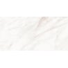 Mexen Forever Grey gres szkliwiony rekt. G1, płytka podłogowo-ścienna 120 x 60 cm, połysk - TL139-120-060-00