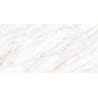 Mexen Forever Grey gres szkliwiony rekt. G1, płytka podłogowo-ścienna 120 x 60 cm, połysk - TL139-120-060-00