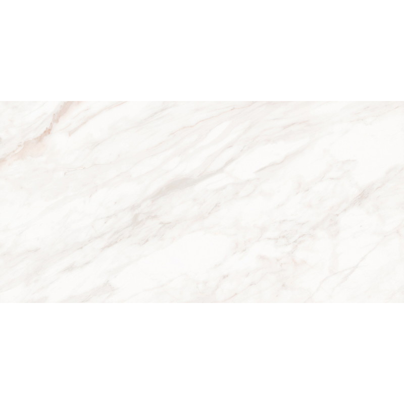 Mexen Forever Grey gres szkliwiony rekt. G1, płytka podłogowo-ścienna 120 x 60 cm, połysk - TL139-120-060-00