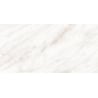 Mexen Forever Grey gres szkliwiony rekt. G1, płytka podłogowo-ścienna 120 x 60 cm, połysk - TL139-120-060-00