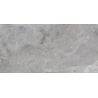 Mexen Tens Grey gres szkliwiony rekt. G1, płytka podłogowo-ścienna 120 x 60 cm, połysk - TL148-120-060-01