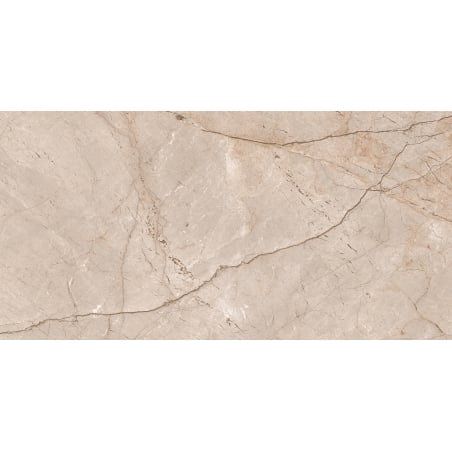 Mexen Newton Natural gres szkliwiony rekt. G1, płytka podłogowo-ścienna 120 x 60 cm, połysk - TL155-120-060-00