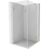 Mexen Lunar-B kabina prysznicowa uchylna lewa 100 x 100 cm, transparent, złota szczotkowana - 832-100-100-55-00-L