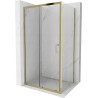 Mexen Apia kabina prysznicowa rozsuwana 100 x 90 cm, transparent, złota - 840-100-090-50-00