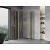 Mexen Mist Duo kabina prysznicowa uchylna 120 x 120 cm, transparent, złota - 8A4-120-120-50-00