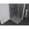 Mexen Pretoria kabina prysznicowa uchylna 100 x 120 cm, grafit, chrom + brodzik Flat - 852-100-120-01-40-4010
