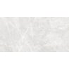 Mexen Lizard Silver próbka gresu szkliwionego rekt. G1, płytka podłogowo-ścienna 120 x 60 cm, połysk - TL109-03-S