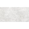 Mexen Lizard Silver próbka gresu szkliwionego rekt. G1, płytka podłogowo-ścienna 120 x 60 cm, połysk - TL109-03-S