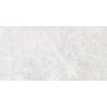 Mexen Lizard Silver próbka gresu szkliwionego rekt. G1, płytka podłogowo-ścienna 120 x 60 cm, połysk - TL109-03-S