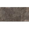 Mexen Champion Brown próbka gresu szkliwionego rekt. G1, płytka podłogowo-ścienna 120 x 60 cm, połysk - TL116-00-S