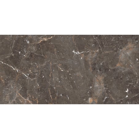 Mexen Champion Brown próbka gresu szkliwionego rekt. G1, płytka podłogowo-ścienna 120 x 60 cm, połysk - TL116-00-S