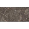 Mexen Champion Brown próbka gresu szkliwionego rekt. G1, płytka podłogowo-ścienna 120 x 60 cm, połysk - TL116-00-S