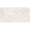 Mexen Artistic Steel próbka gresu szkliwionego rekt. G1, płytka podłogowo-ścienna 120 x 60 cm, połysk - TL121-01-S