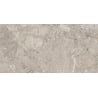 Mexen Artistic Gris próbka gresu szkliwionego rekt. G1, płytka podłogowo-ścienna 120 x 60 cm, połysk - TL121-00-S