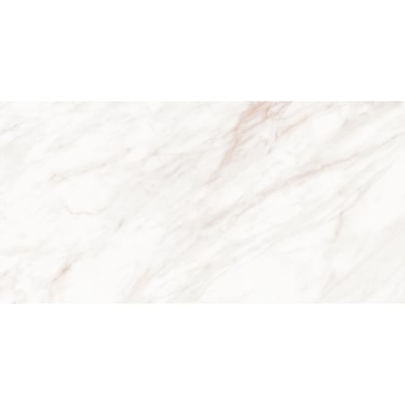 Mexen Forever Grey próbka gresu szkliwionego rekt. G1, płytka podłogowo-ścienna 120 x 60 cm, połysk - TL139-00-S