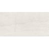 Mexen Homes Bianco próbka gresu szkliwionego rekt. G1, płytka podłogowo-ścienna 120 x 60 cm, połysk - TL151-00-S