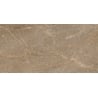 Mexen Nairobi Natural próbka gresu szkliwionego rekt. G1, płytka podłogowo-ścienna 120 x 60 cm, połysk - TL160-02-S