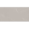 Mexen Windsar Grey próbka gresu szkliwionego rekt. G1, płytka podłogowo-ścienna 120 x 60 cm, połysk - TL164-00-S