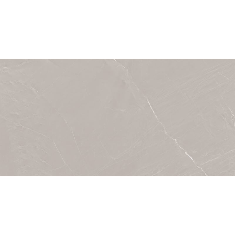 Mexen Windsar Grey próbka gresu szkliwionego rekt. G1, płytka podłogowo-ścienna 120 x 60 cm, połysk - TL164-00-S
