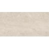 Mexen Dayno Classic próbka gresu szkliwionego rekt. G1, płytka podłogowo-ścienna 120 x 60 cm, połysk - TL166-01-S