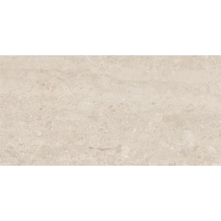 Mexen Dayno Classic próbka gresu szkliwionego rekt. G1, płytka podłogowo-ścienna 120 x 60 cm, połysk - TL166-01-S