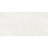 Mexen French Silver próbka gresu szkliwionego rekt. G1, płytka podłogowo-ścienna 120 x 60 cm, połysk - TL173-01-S