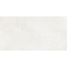 Mexen French Silver próbka gresu szkliwionego rekt. G1, płytka podłogowo-ścienna 120 x 60 cm, połysk - TL173-01-S
