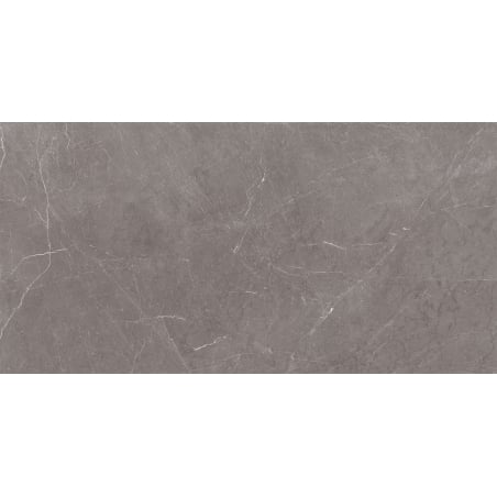 Mexen Gloster Grey próbka gresu szkliwionego rekt. G1, płytka podłogowo-ścienna 120 x 60 cm, połysk - TL172-01-S