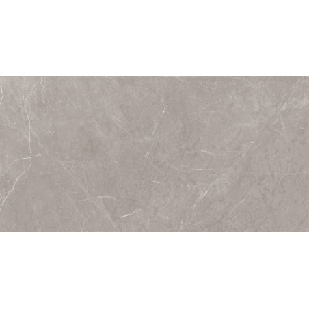 Mexen Gloster Light Grey próbka gresu szkliwionego rekt. G1, płytka podłogowo-ścienna 120 x 60 cm, połysk - TL172-04-S