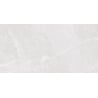 Mexen Jerico Silver próbka gresu szkliwionego rekt. G1, płytka podłogowo-ścienna 120 x 60 cm, carving - TL435-02-S
